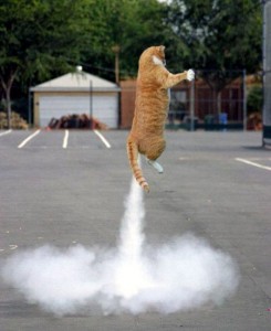 rocket-kitty