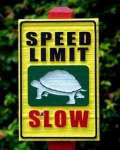 funny-sign-slow-turtle