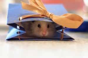 hamster_gift_bag1