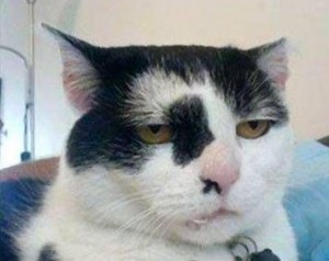 not impressed
